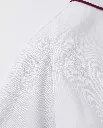 Epaul.webp